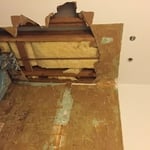 Bathroom Demo