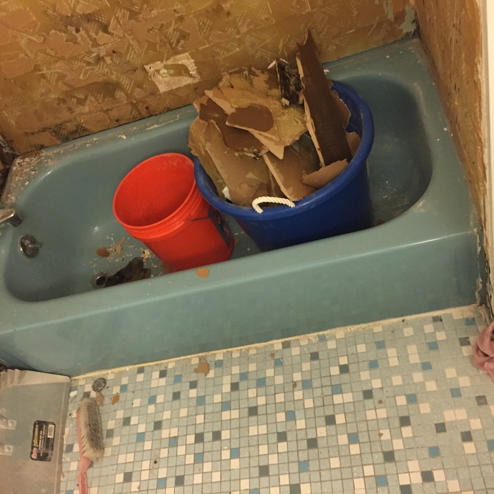 Bathroom Demo