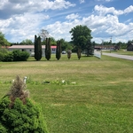 mowing