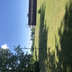 lawn maintenance