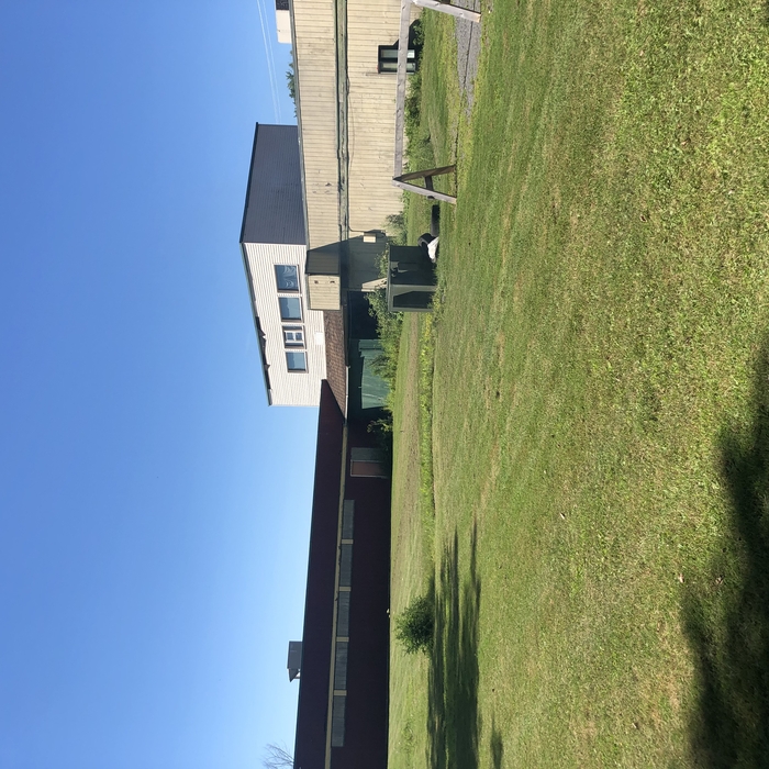 lawn maintenance