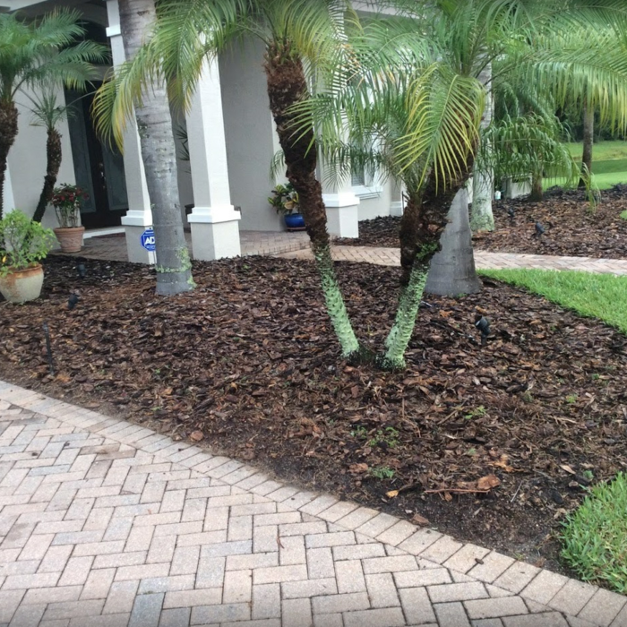 Landscaping