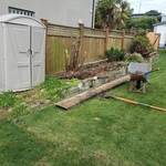 Before/After landscaping