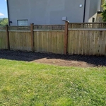 Before/After landscaping