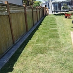 Before/After landscaping