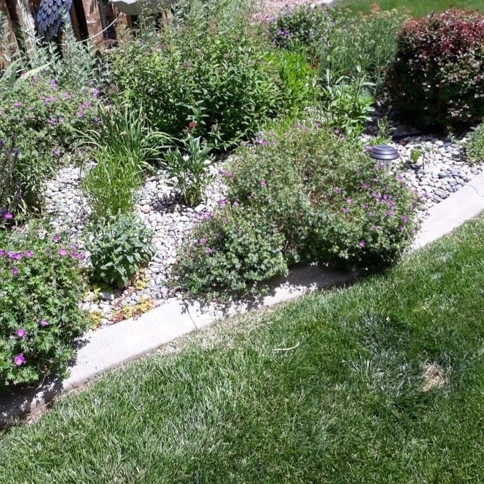 Exterior Property Maintenance