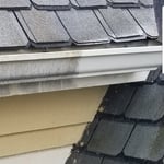 Gutter Cleaning