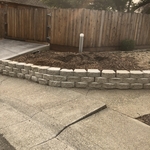 After stump removal