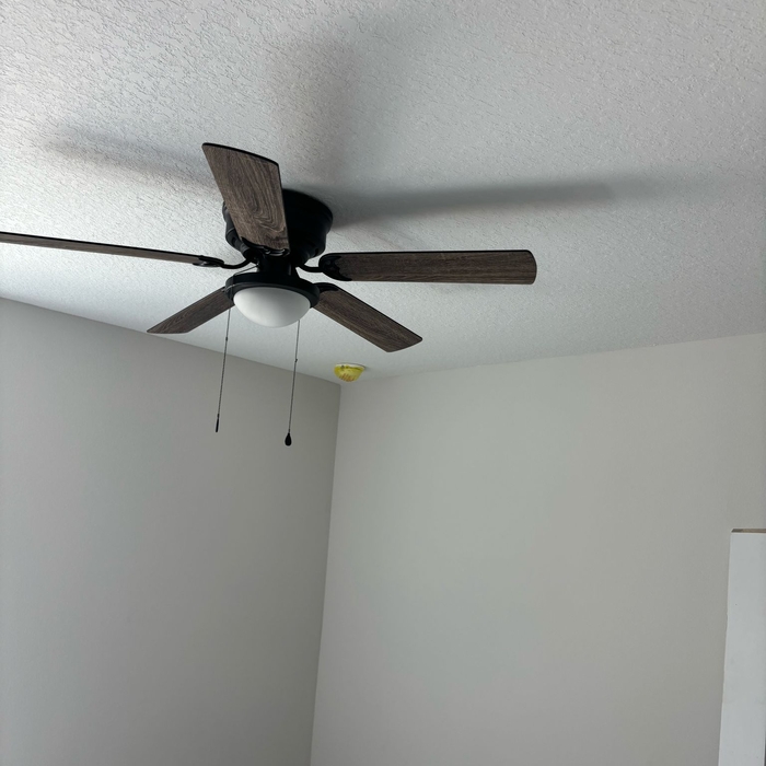 Lights and fan