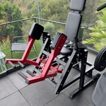 Glass Pergola & Home Gym