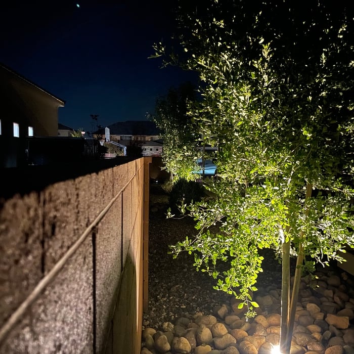 Backyard River & Fountain