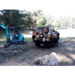 Moving logs