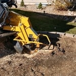 Stump grinding