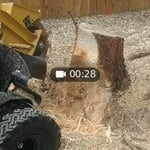 Stump grinding