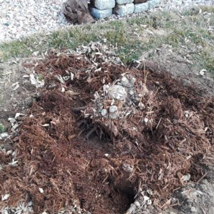Shrub removal