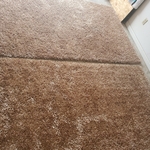 Carpet Cleaning