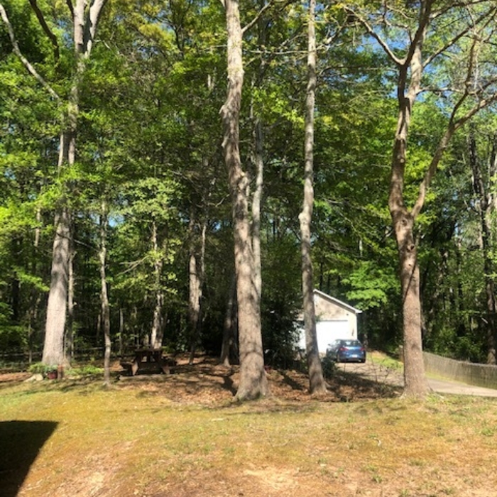 removals/pruning 