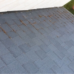 Roof Before and After Cleaning