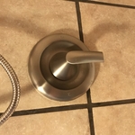 Shower fixture