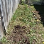 Garden removal