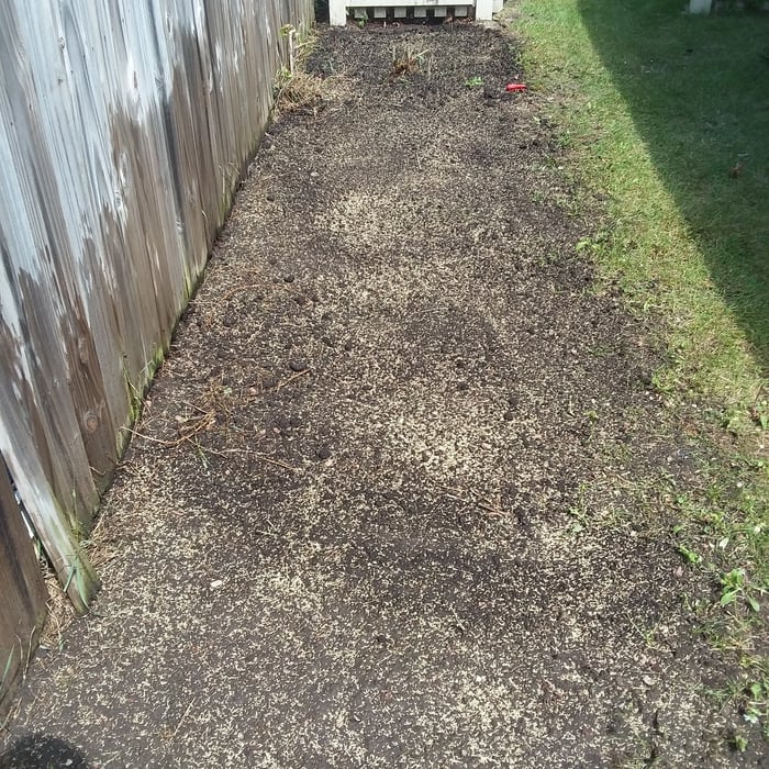 Reseeding