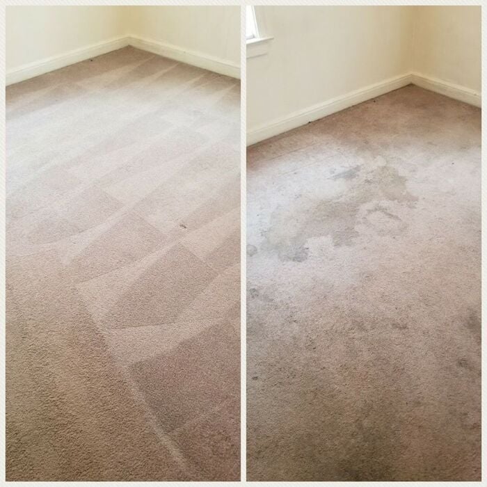 Urine and severe odor removal
