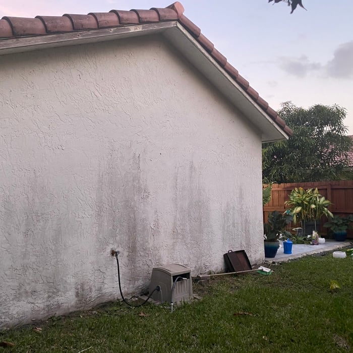 Exterior paint
