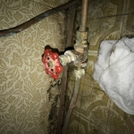 Leak