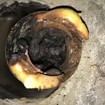 Improperly installed furnace exhaust piping