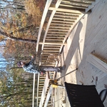 deck bulding and repair