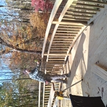 deck bulding and repair