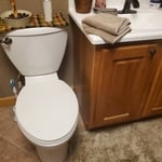 toilet and vanity