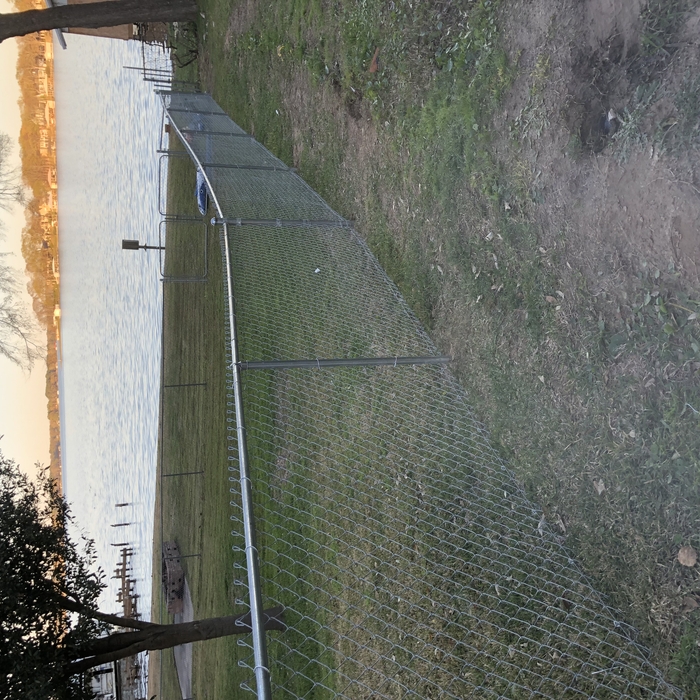 Chain Link Fence