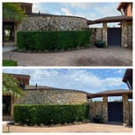 Before and after house wash