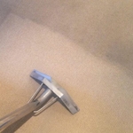 Cleaning carpet