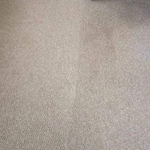 Cleaning carpet