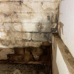 Mold