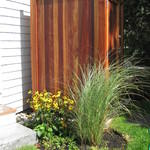 outdoor shower and plantings