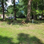 cutting brush down and hauling away
