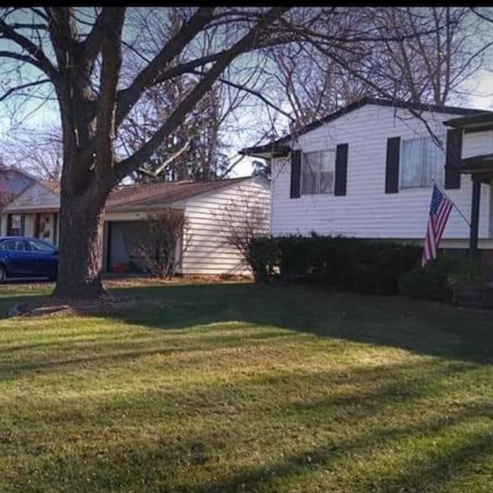 Leaf Clean Up