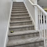 carpet install