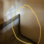 Mice issue