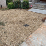 Yard Drainage