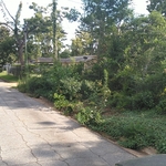 Oglethorpe dr.