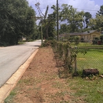 Oglethorpe dr.