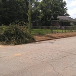 Oglethorpe dr.