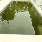 Green and Clean
