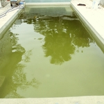 Green and Clean