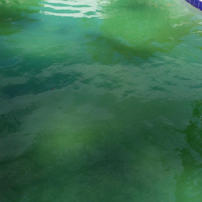 Green and Clean II