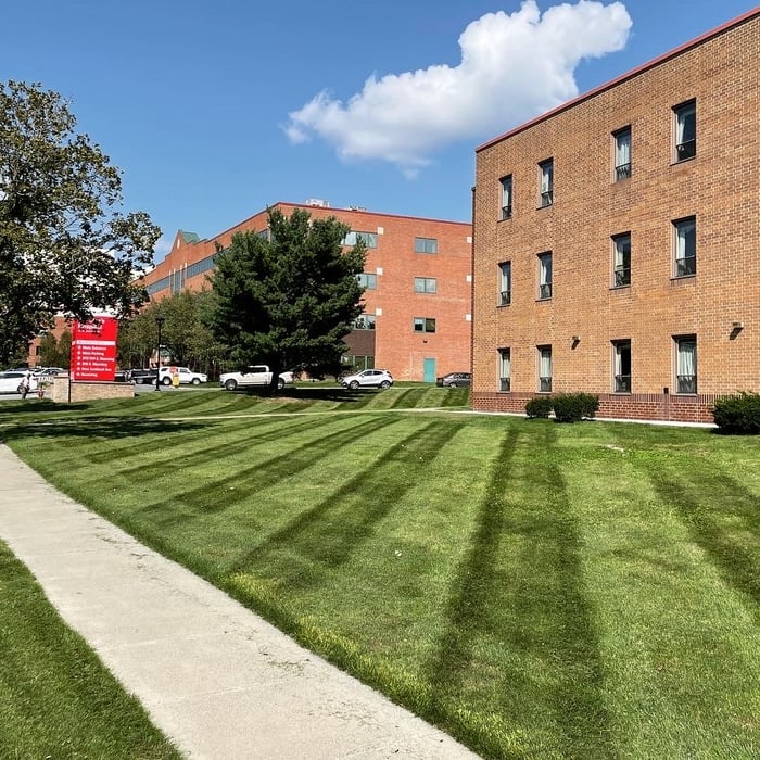 Lawn Care